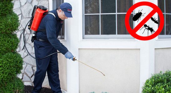 Altıevler Karınca İlaçlama böcek ilaçlama ve haşere kontrolü — ilaclama-tr.com